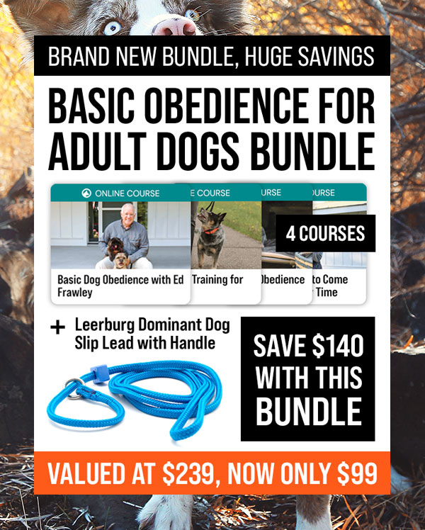 Basic Obedience for Adult Dogs Bundle