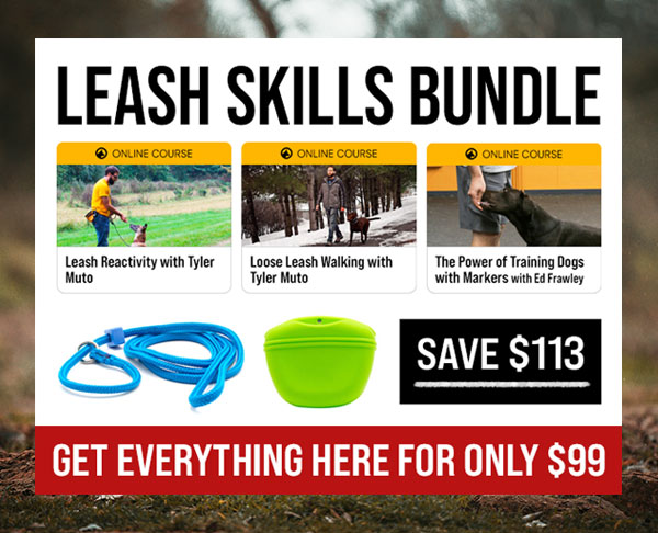 Leash Skills Bundle