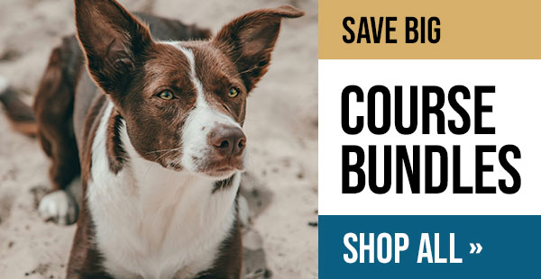 Leash Skills Bundle