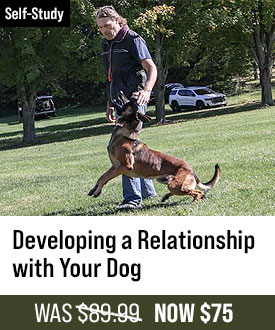 Developing A Relationship With Your Dog with Michael Ellis