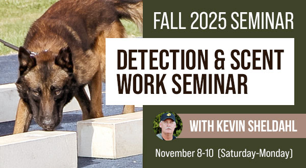 Seminar Coming Soon