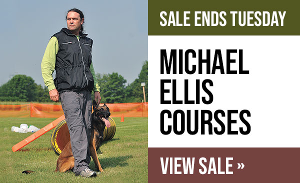 Sale on Select Michael Ellis Courses
