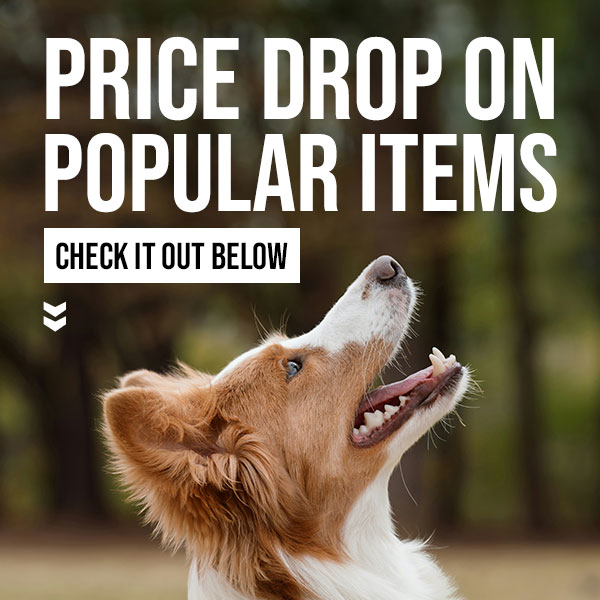 Price Drop on Muzzles & Leashes