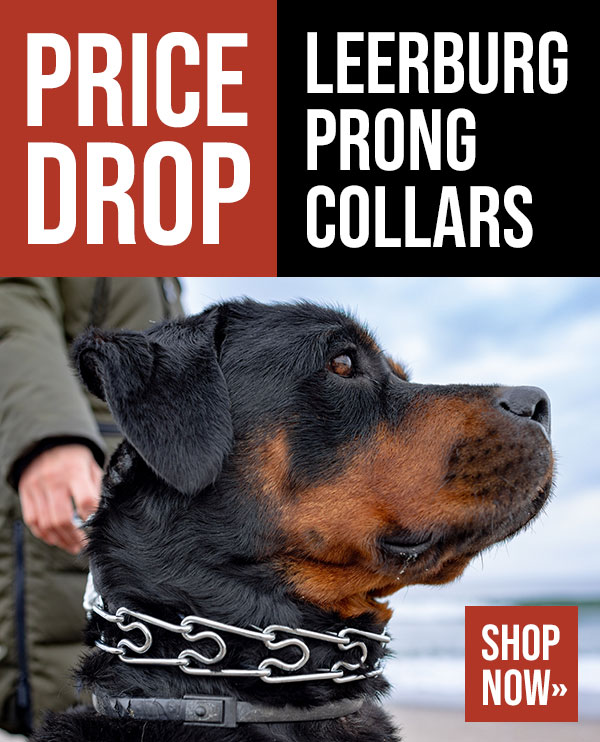 10% Off Sitewide + Fee Shipping