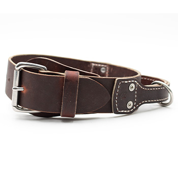 2-in Leather Collar with Handle