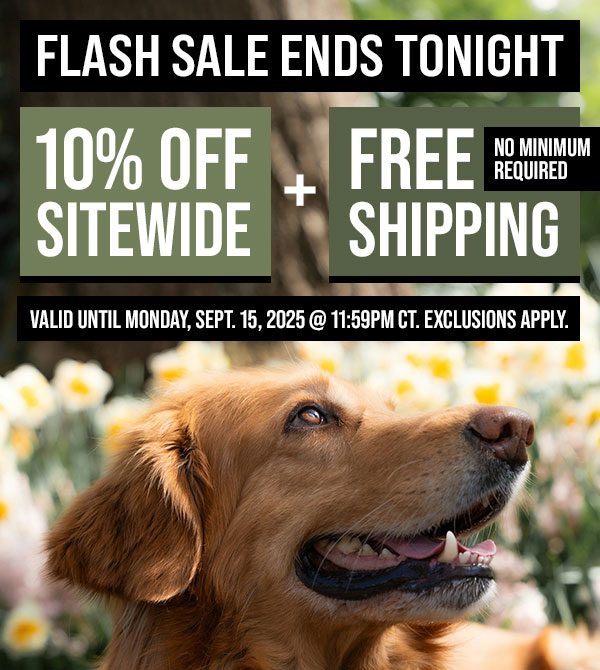 10% Off Sitewide + Free Shipping