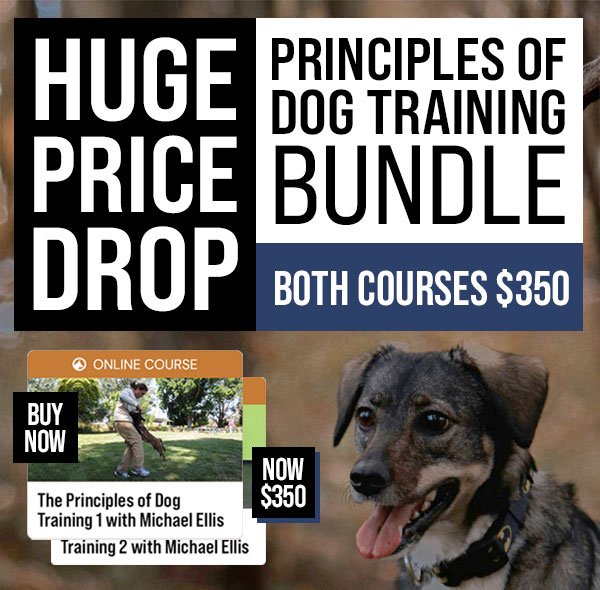Price Drop on Michael Ellis Principles of Dog Training Bundle