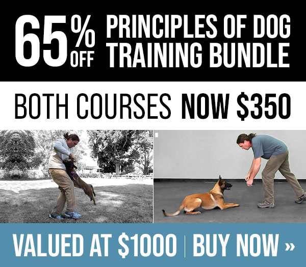 Price Drop on Michael Ellis Principles of Dog Training Bundle