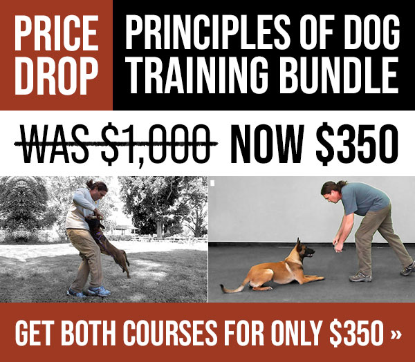 Price Drop on Michael Ellis Principles of Dog Training Bundle