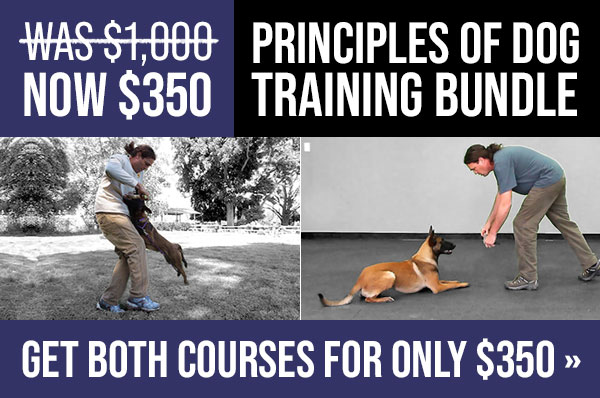 Price Drop on Michael Ellis Principles of Dog Training Bundle