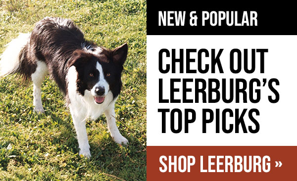 View Leerburg's Top Picks