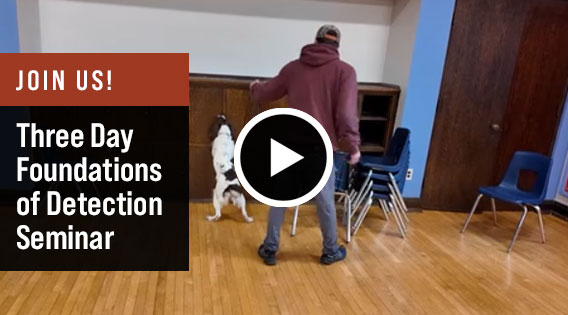 Three Day Foundations of Detection Seminar