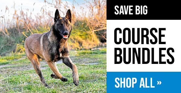 Course Bundles