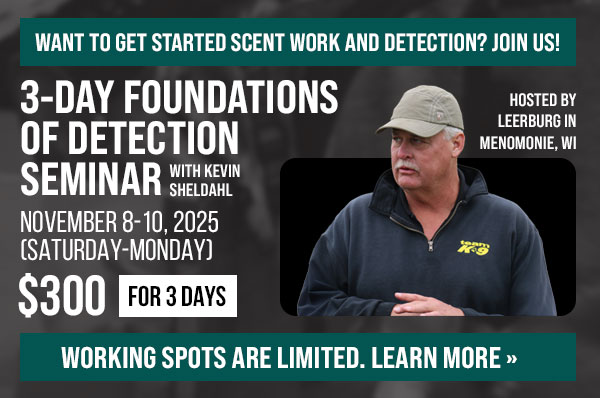 3-Day Foundations of Detection Seminar