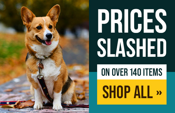 Leerburg Discounted Items