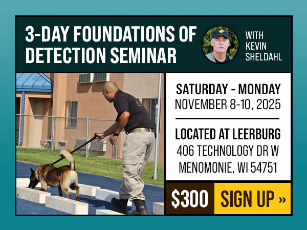 3-Day Foundations of Detection Seminar