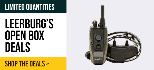 Leerburg Warehouse Sale