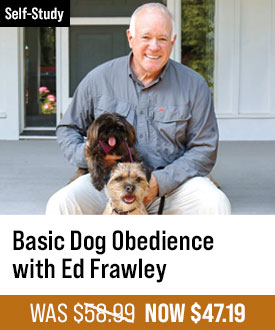 Basic Dog Obedience