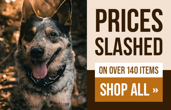 Leerburg Discounted Items