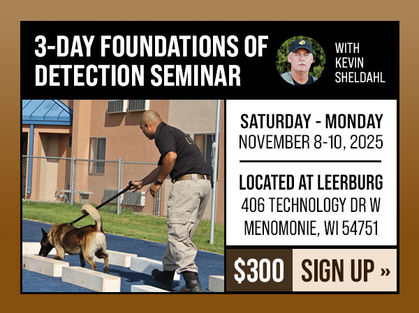3-Day Foundations of Detection Seminar
