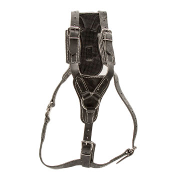 Latigo Leather Agitation Harness