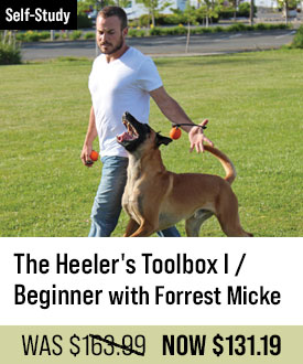 The Heeler's Toolbox I / Beginner