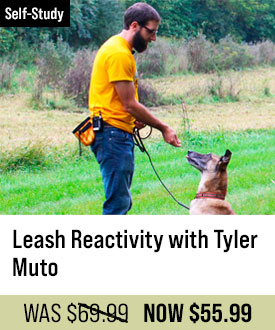 Leash Reactivity with Tyler Muto