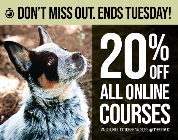 20% Off All Courses
