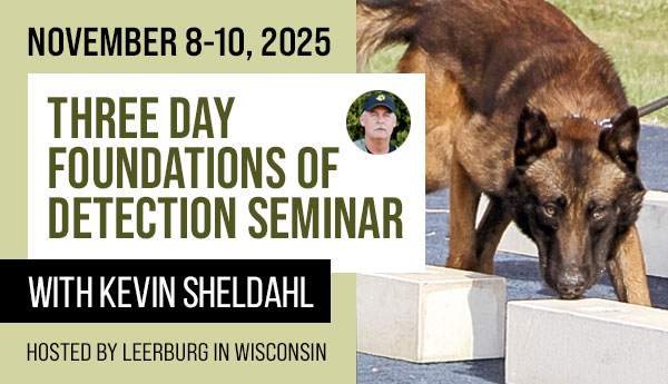 3-Day Foundations of Detection Seminar