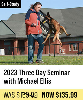2023 Three Day Seminar with Michael Ellis