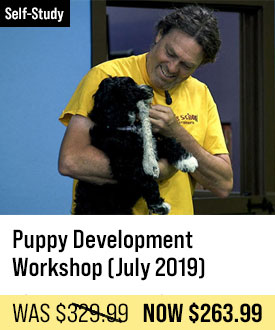 Puppy Development Workshop - July 2019