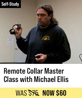 Remote Collar Master Class with Michael Ellis