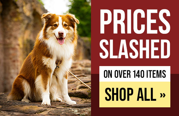 Leerburg Discounted Items