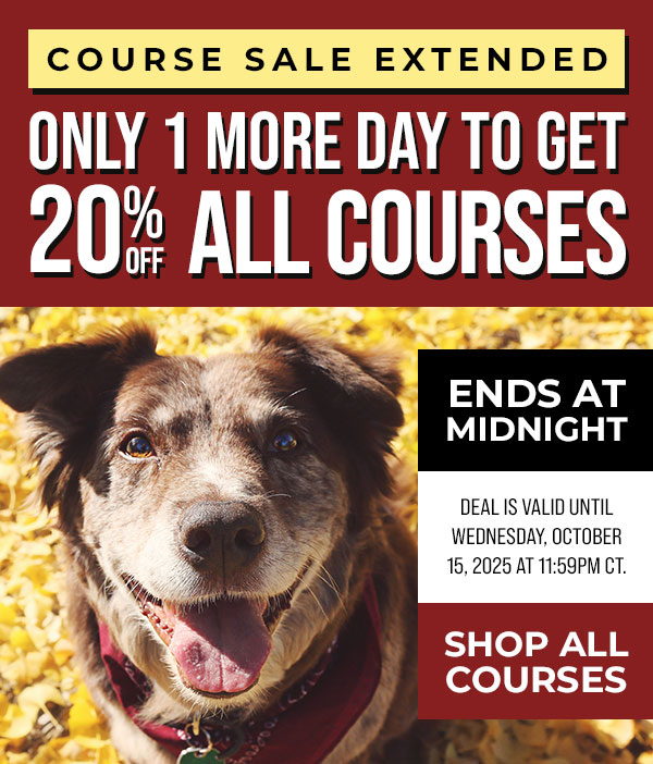 20% Off All Courses