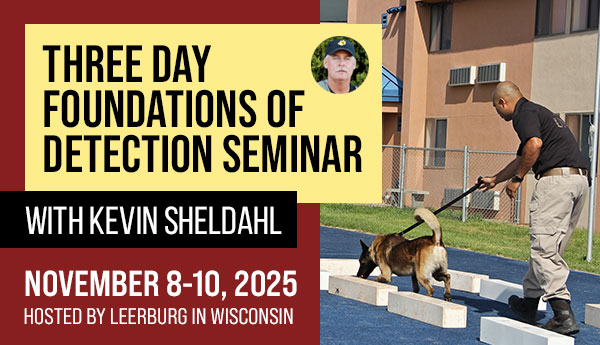 3-Day Foundations of Detection Seminar