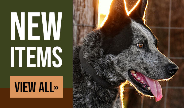 View Leerburg's New Items