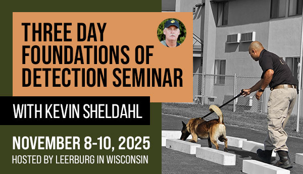 3-Day Foundations of Detection Seminar