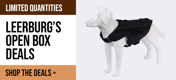 Leerburg Warehouse Sale