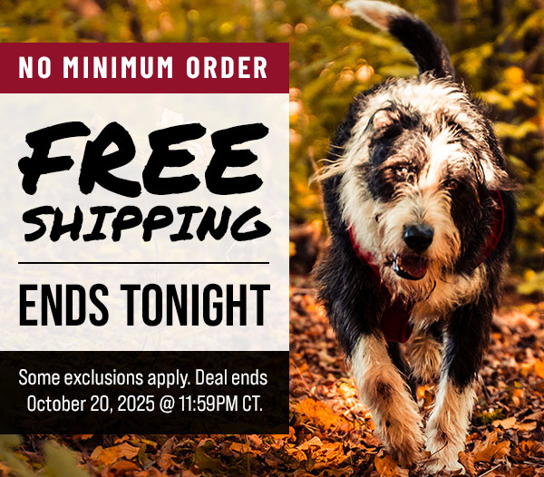 Free Shipping Ends Tonight