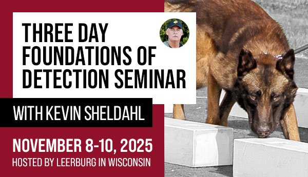 3-Day Foundations of Detection Seminar