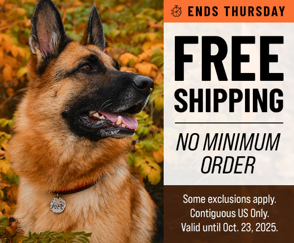 Free Shipping Ends Tonight