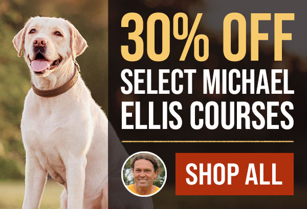 30% Off Michael Ellis Courses