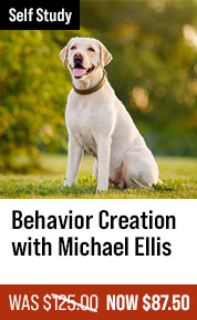 Behavior Creation Master Class with Michael Ellis