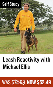 Leash Reactivity with Michael Ellis