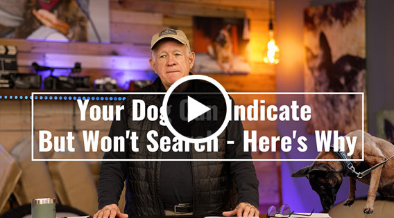 Click to Watch: Your Dog Can Indicate But Won't Search - Here's Why