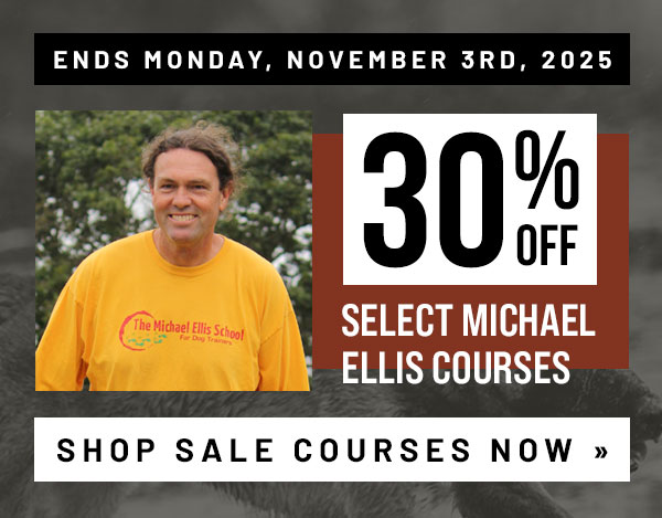 30% Off Michael Ellis Courses