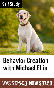 Behavior Creation Master Class with Michael Ellis