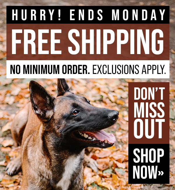 Free Shipping - No Minimum Required - Ends November 3