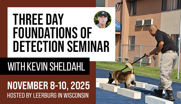 3-Day Foundations of Detection Seminar