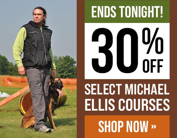 30% Off Michael Ellis Courses